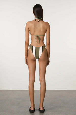 Olive Stripe Curve Brief