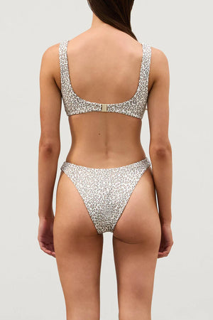 Micro Leopard Curve Brief