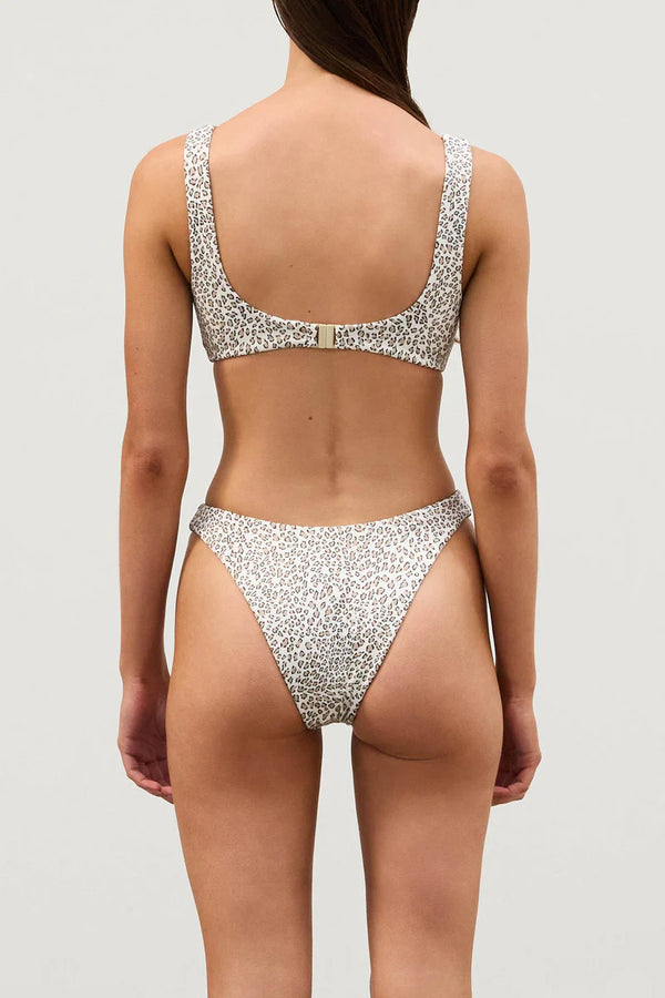 Micro Leopard Curve Brief