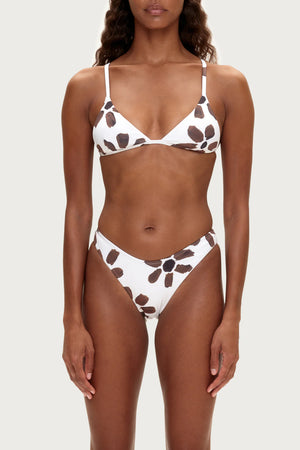 Curve Brief - Chocolate Flower