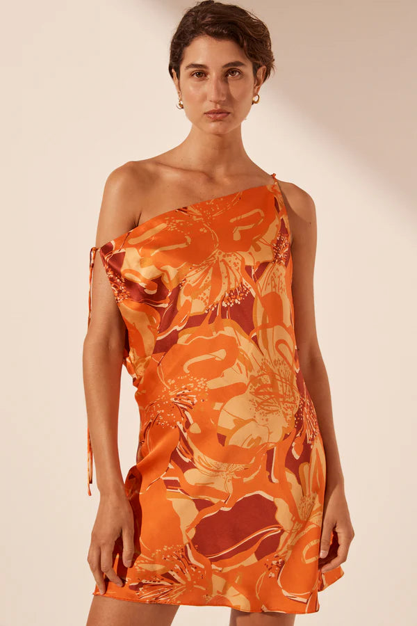 Chara Silk Tie Mini Dress - Flame Multi