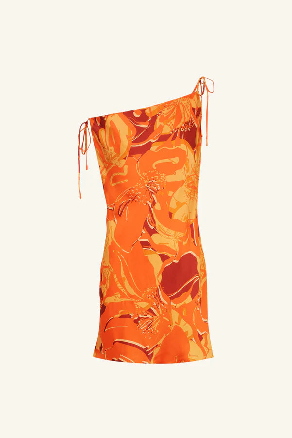 Chara Silk Tie Mini Dress - Flame Multi