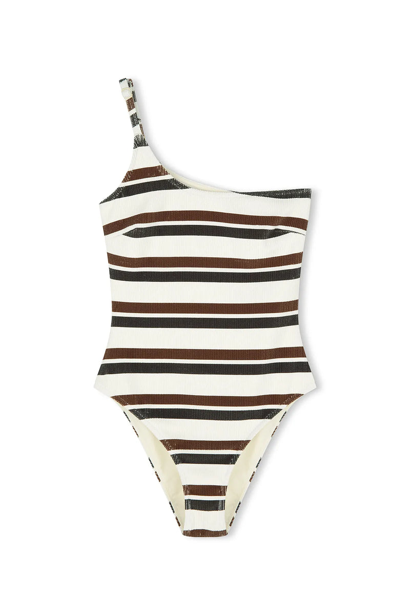 Earth Stripe Textured Onepiece