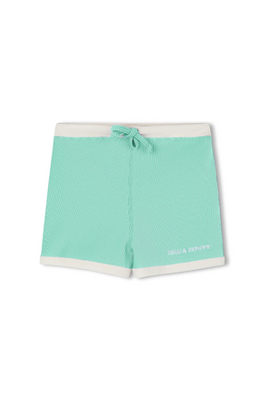Mini Stripe Surf Short - Aqua