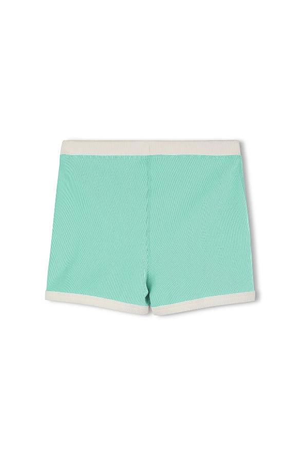 Mini Stripe Surf Short - Aqua