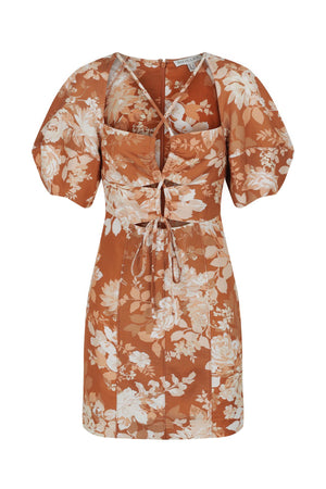 Capucine Lace Front lantern Sleeve Dress